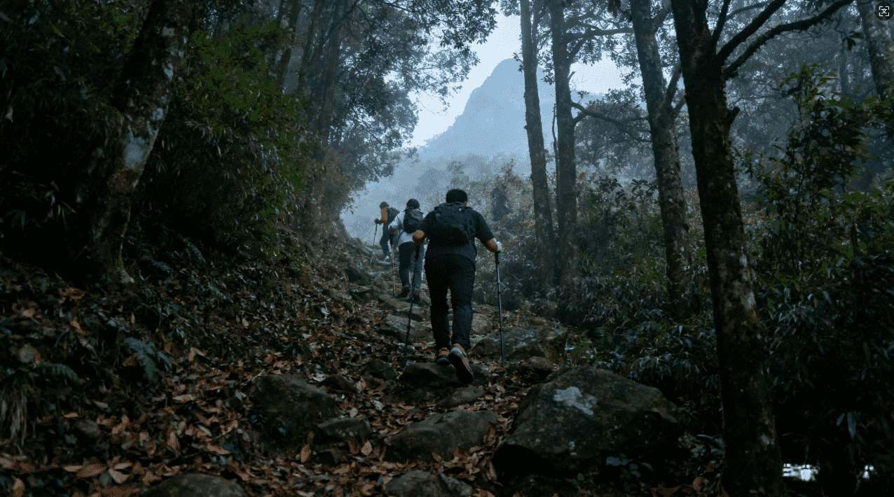 推特专用加速器节点选择指南